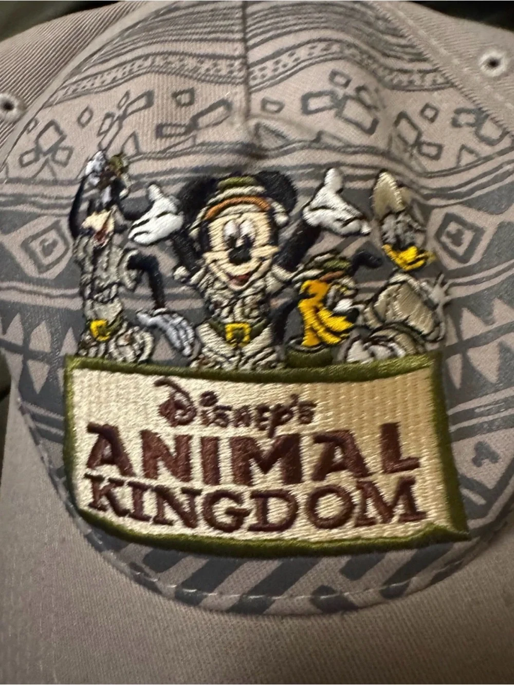 Disney youth safari